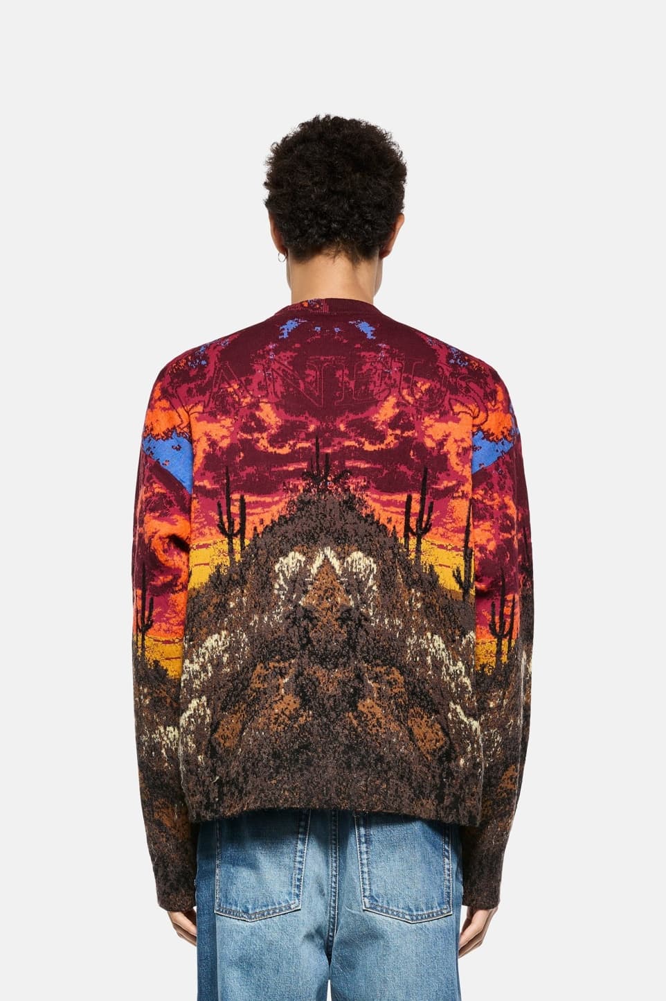 Men's Western Sunset Desert Landscape Jacquard Sweater Scenic Crew Neck — view 5