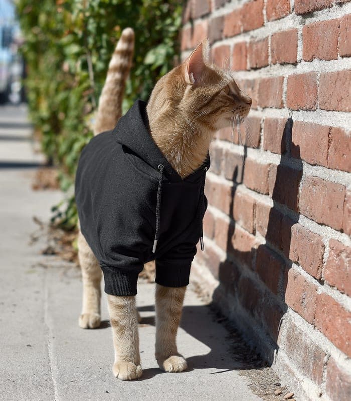 Pet Dog & Cat Basic Hoodie — view 2