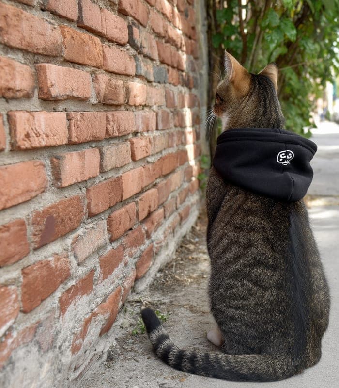 Pet Dog & Cat Basic Hoodie — view 3