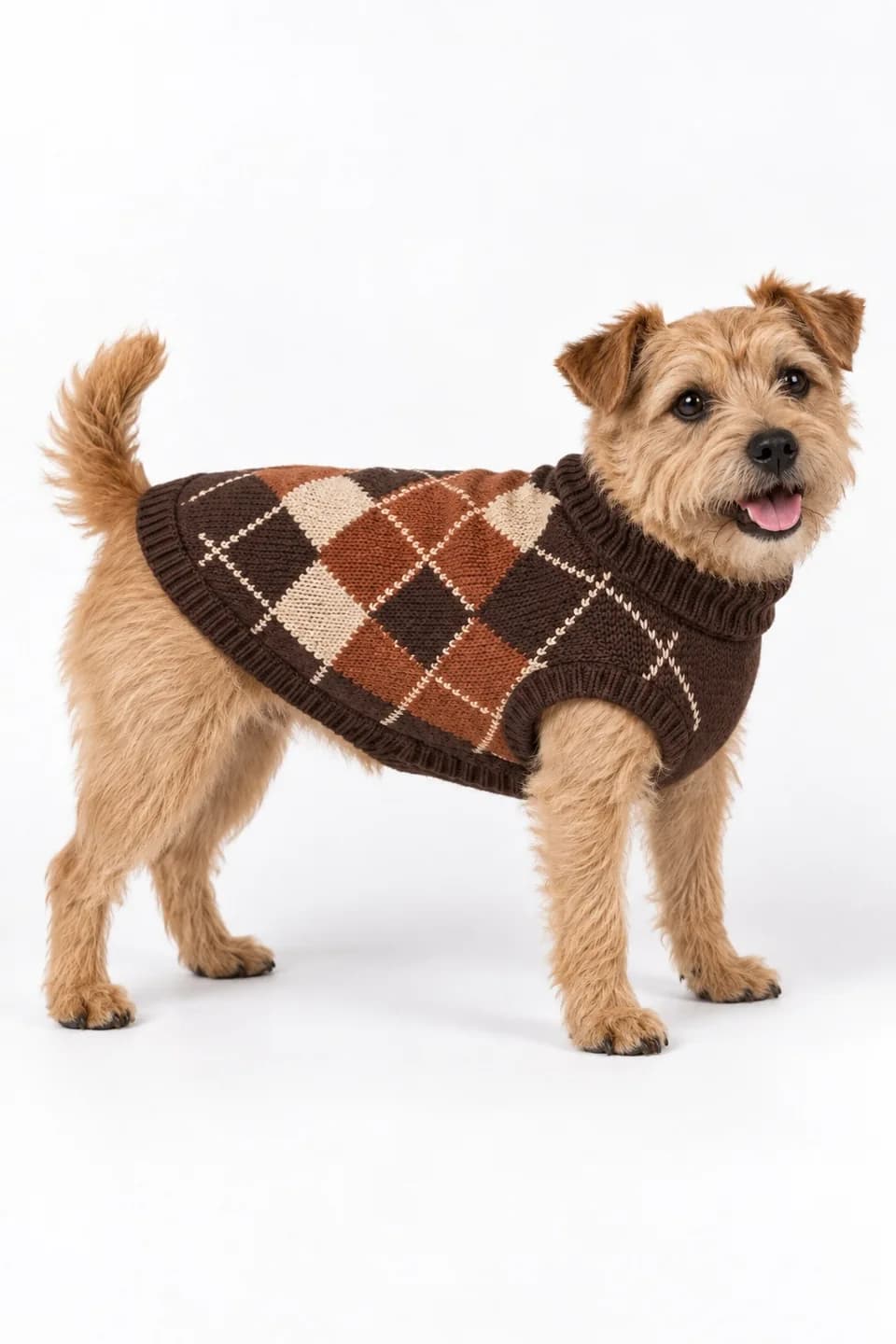 Owner-Matching Argyle Dog Sweater - side reference (AI development concept)