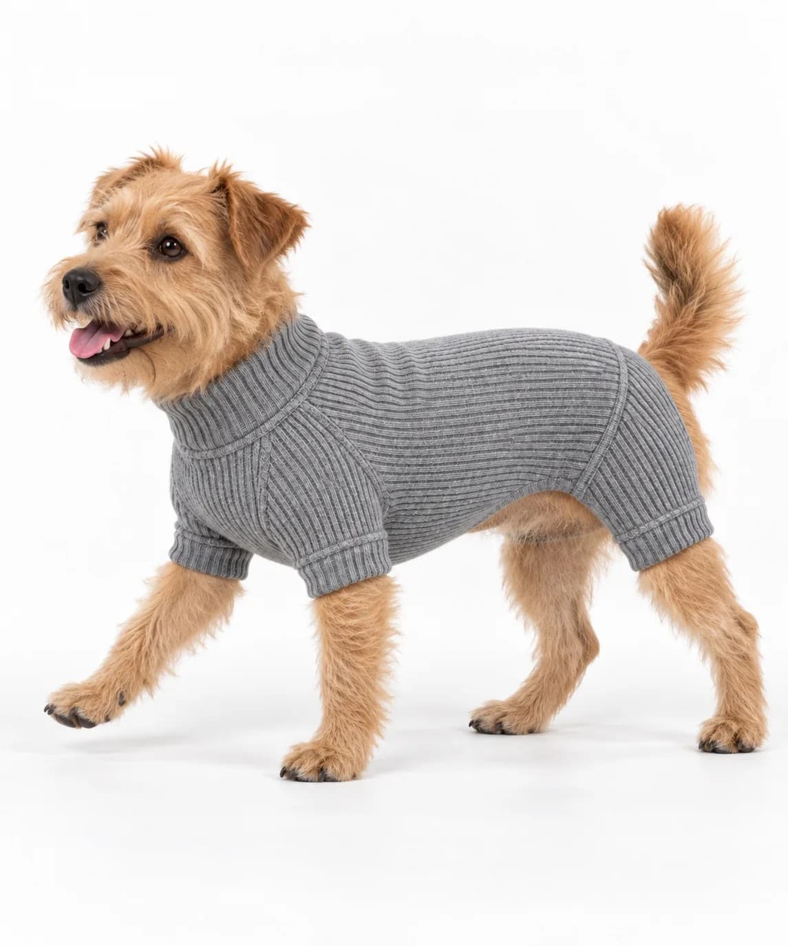 Rib-Knit Dog Bodysuit - side reference (AI development concept)