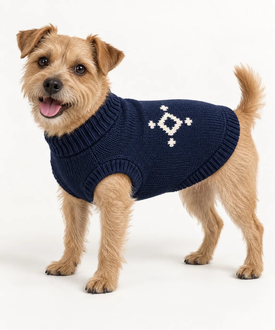 Private-Label Dog Logo Jacquard Sweater - model or use reference (AI development concept)