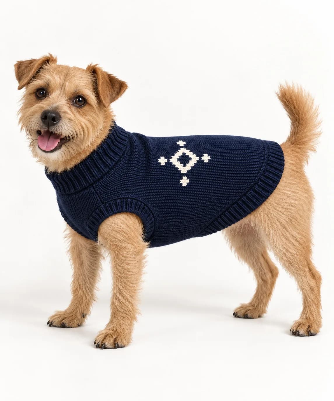 Private-Label Dog Logo Jacquard Sweater - side reference (AI development concept)