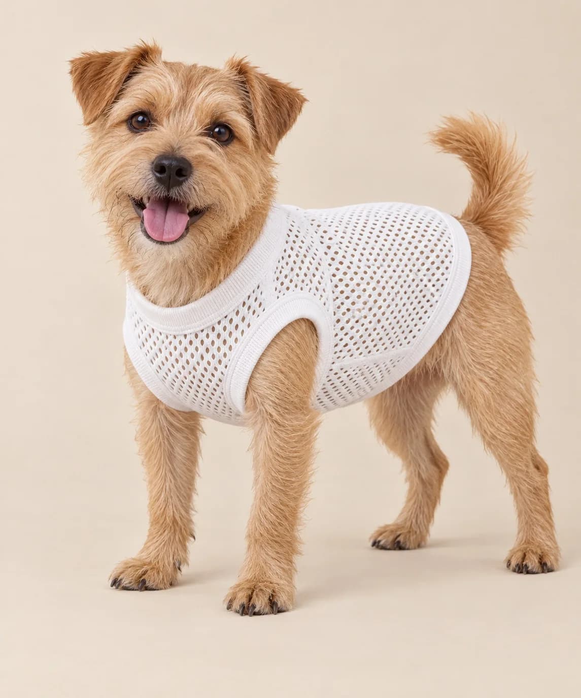 Cotton Mesh-Knit Dog Tee - model or use reference (AI development concept)