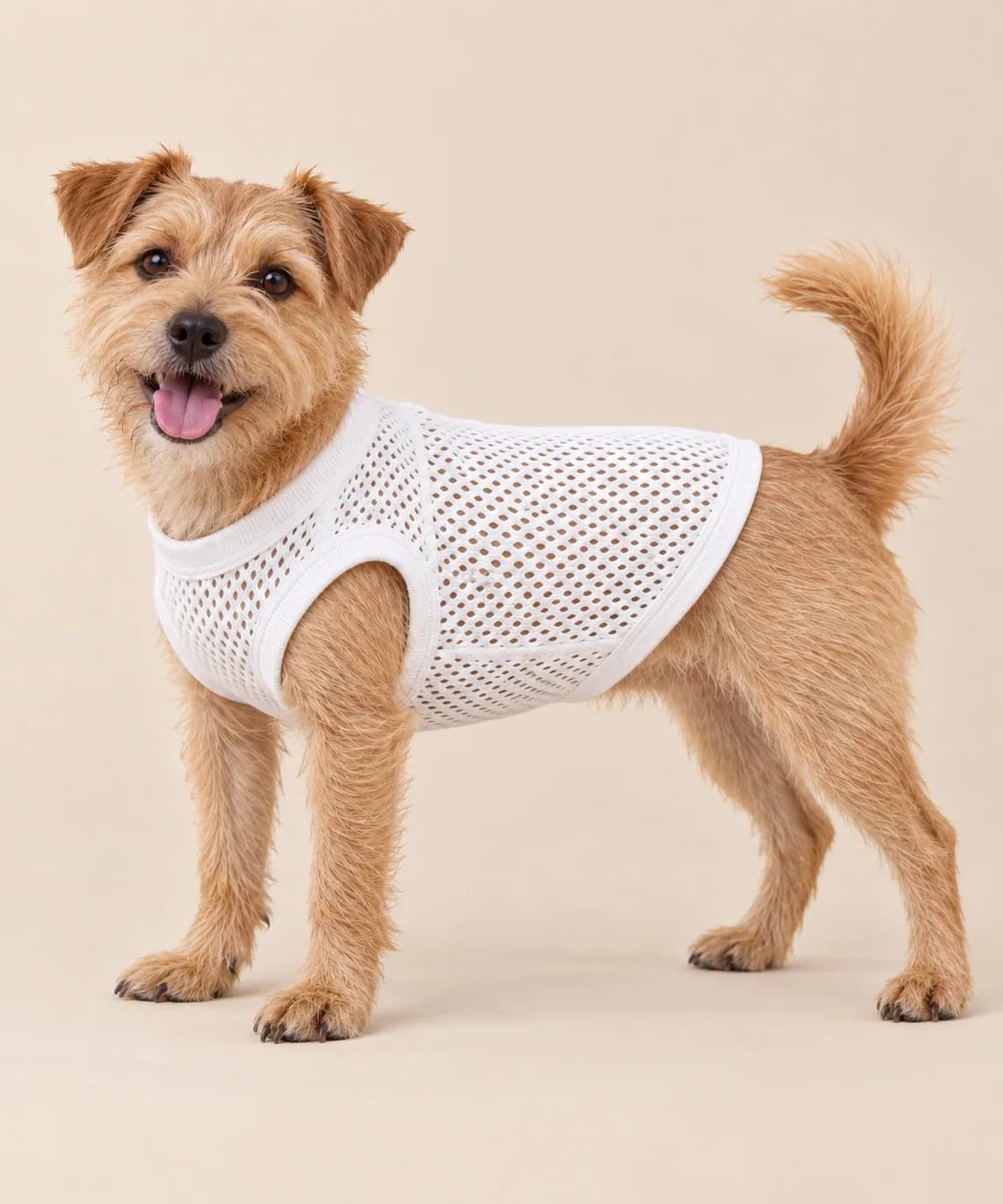 Cotton Mesh-Knit Dog Tee - side reference (AI development concept)