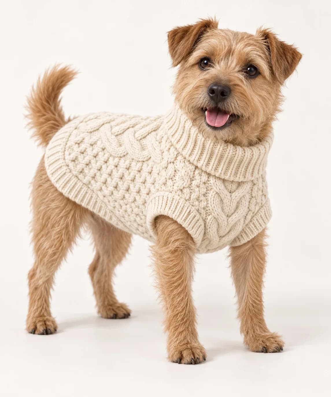 Aran Fisherman Dog Sweater - model or use reference (AI development concept)