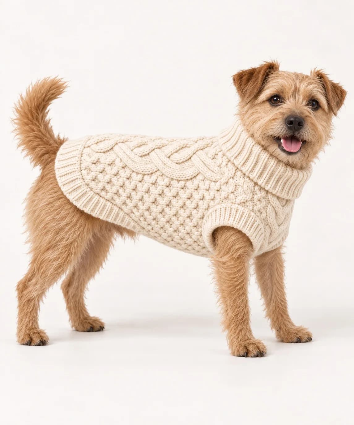 Aran Fisherman Dog Sweater - side reference (AI development concept)