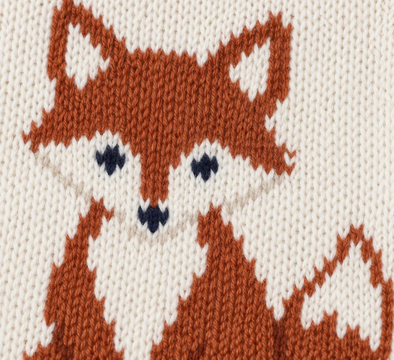 Kids Animal Intarsia Crew Sweater - texture reference (AI development concept)