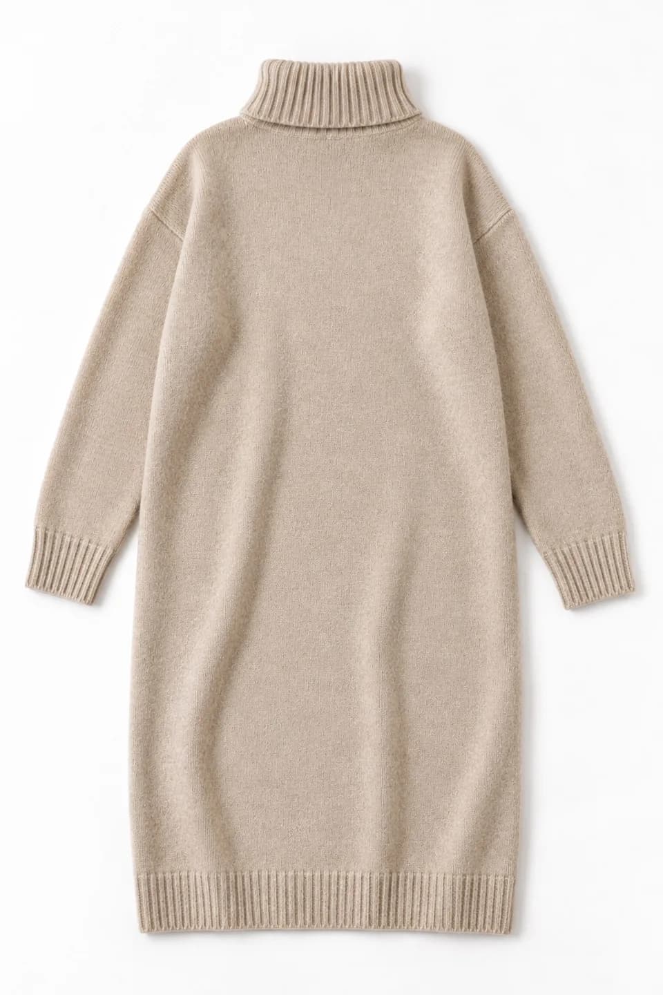 Women's Relaxed Turtleneck Sweater Dress - back reference (AI development concept)