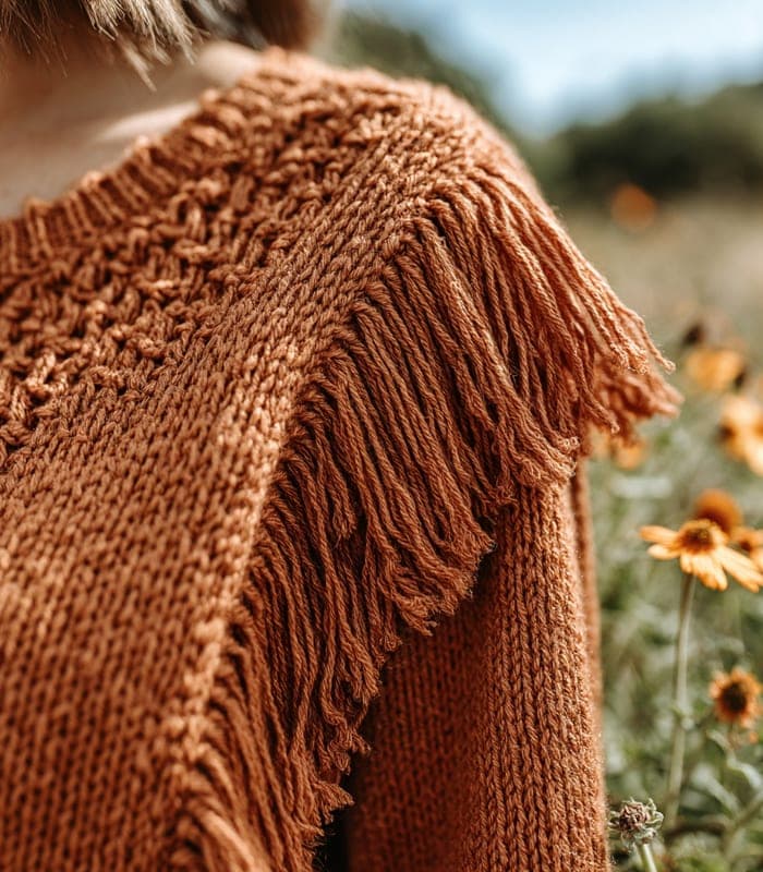 Pet Bohemian Fringe Knit Sweater — view 5