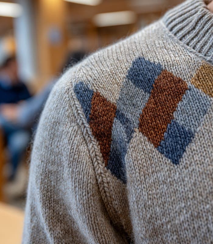Pet Preppy Chic Argyle Sweater — view 5