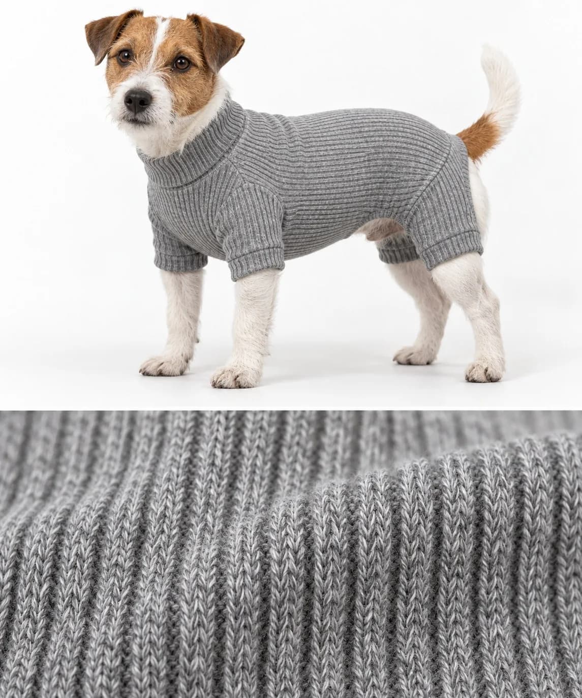 Rib-Knit Dog Bodysuit - texture reference (AI development concept)