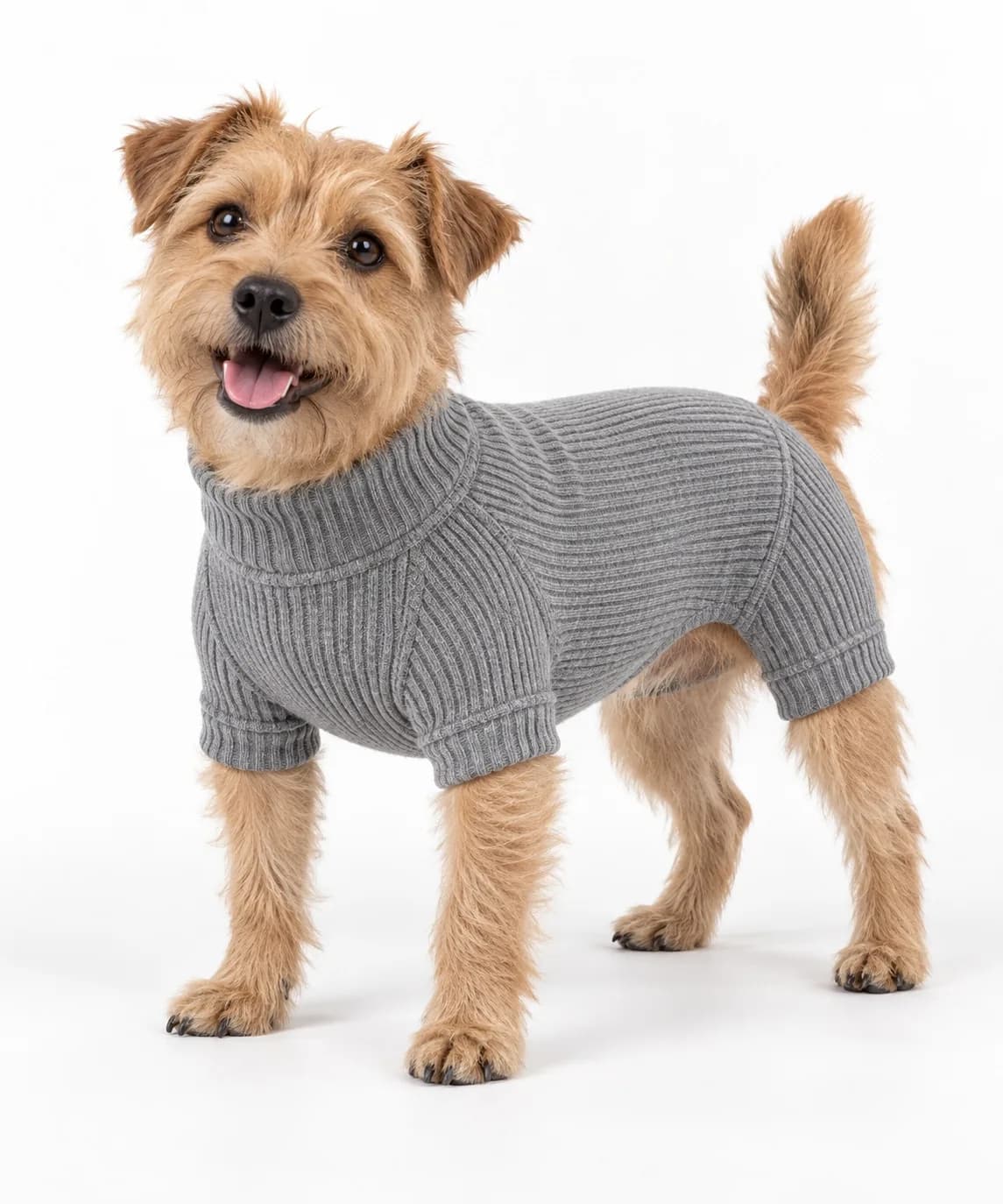 Rib-Knit Dog Bodysuit - model or use reference (AI development concept)